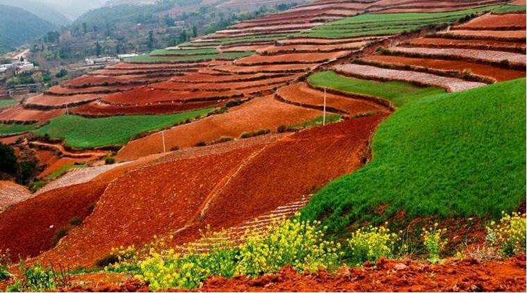中國土壤幾病癥，該如何管理土壤？