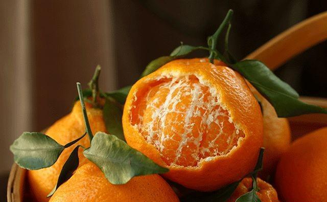 柑橘果面好，果肉卻干水，司普沃與您一起找原因、找方法