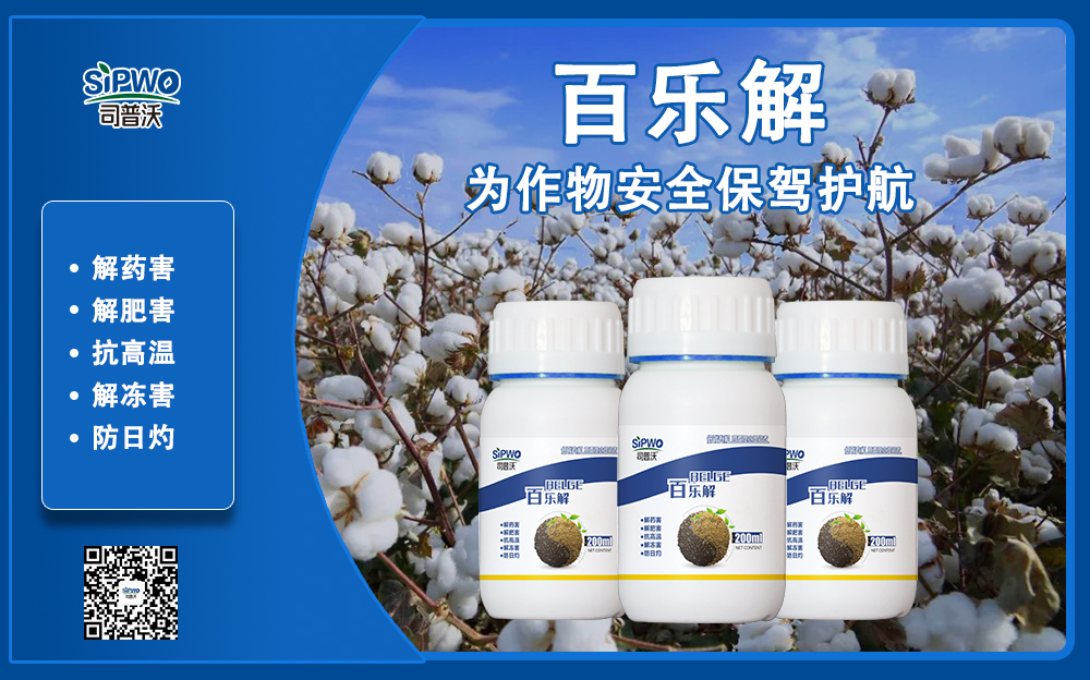棉花百樂(lè)解1-1.jpg
