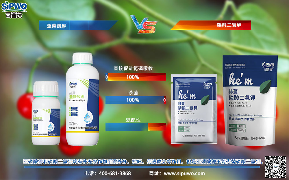 既能當(dāng)農(nóng)藥，又能當(dāng)肥料，亞磷酸鉀真的有這么神奇嗎？