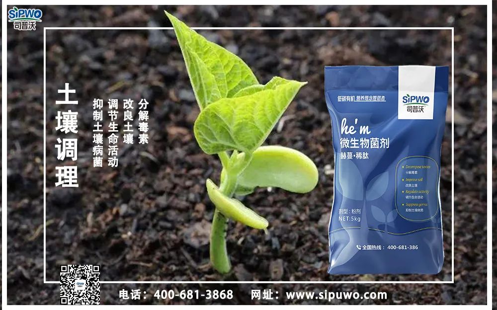 【農(nóng)技知識】土壤出問題了，肥料用再多也別想增產(chǎn)！