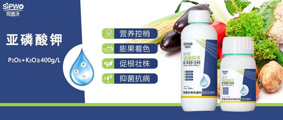 赫蔓·亞磷酸鉀|亦藥亦肥：營養(yǎng)控梢，防病抑菌用處大