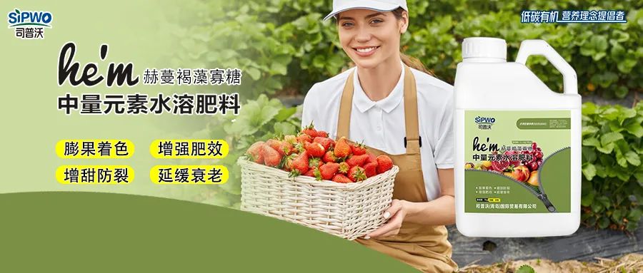 褐藻寡糖--中量元素水溶肥|膨果著色、增強(qiáng)肥效、增甜防裂、延緩衰老