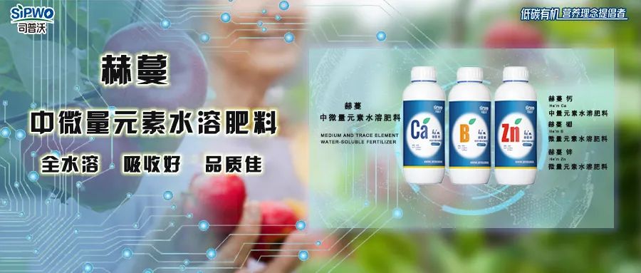 中微量元素鈣、硼、鋅|移動(dòng)快、吸收好、營養(yǎng)全、品質(zhì)佳