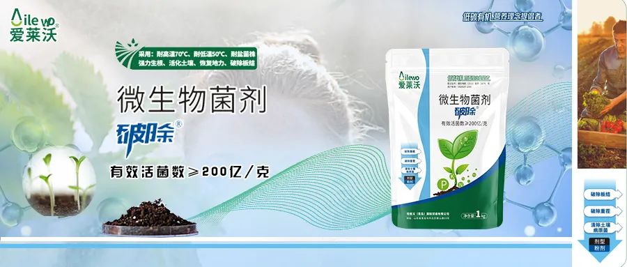 愛萊沃·微生物菌劑_破除|沃土、生根、抗病一步到位