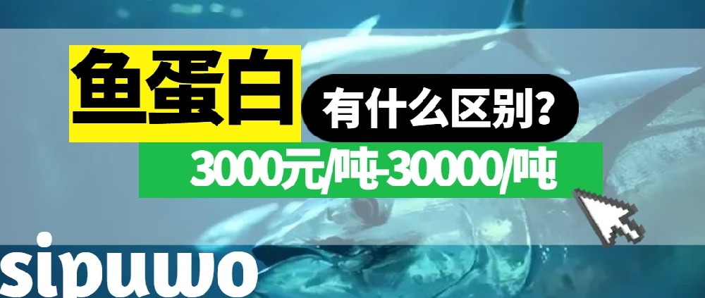 3000-30000元/噸的魚蛋白有多大差距？一篇文章告訴你！