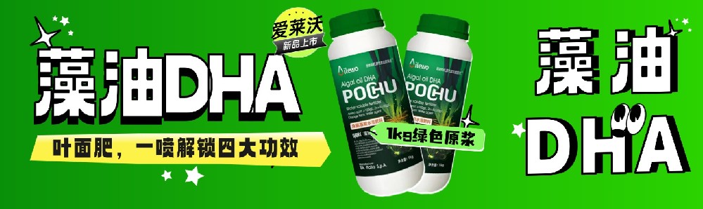 愛萊沃藻油DHA葉面肥**上市：1kg綠色原漿，一噴解鎖四大功效